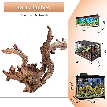 超大型　☆アクアリウム　生花　テラリウム 爬虫類　天然流木 ホーンウッド　⭐︎ 超大型 ☆アクアリウム 生花 テラリウム 爬虫類 天然流木 ホーン
